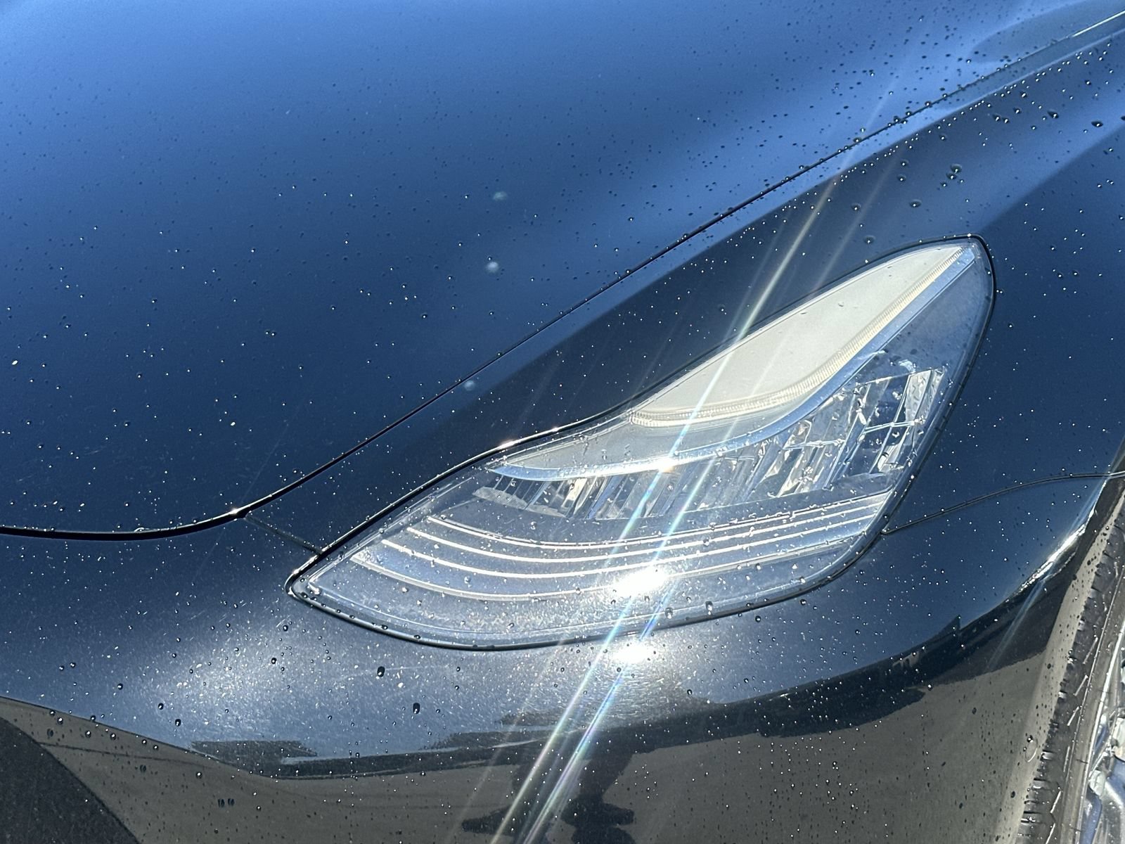 Used 2019 Tesla Model 3 Standard Range RWD image 11