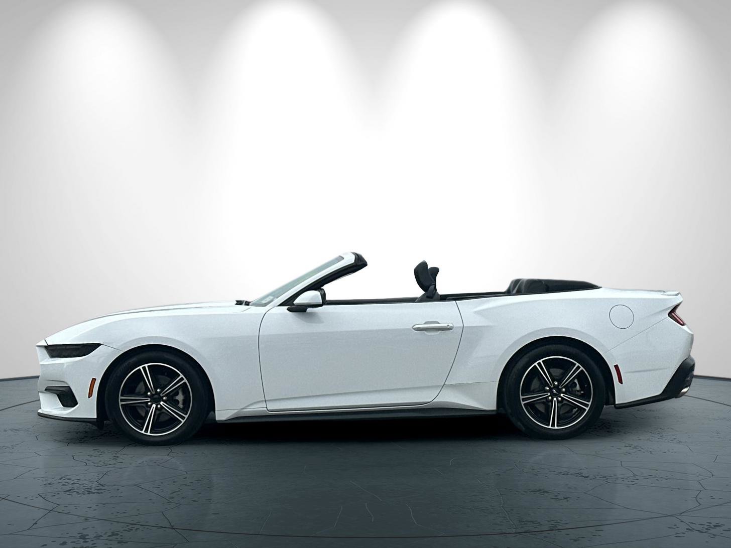 Used 2025 Ford Mustang Premium RWD image 7