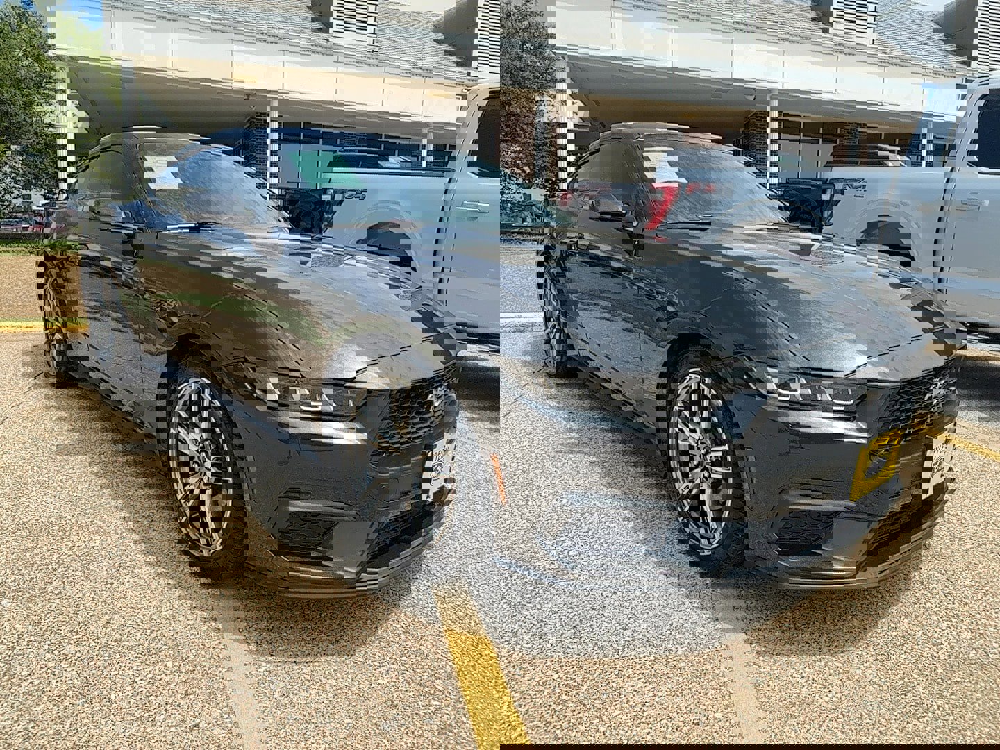 Used 2024 Ford Mustang Premium w/ Wheel & Stripe Package image 1