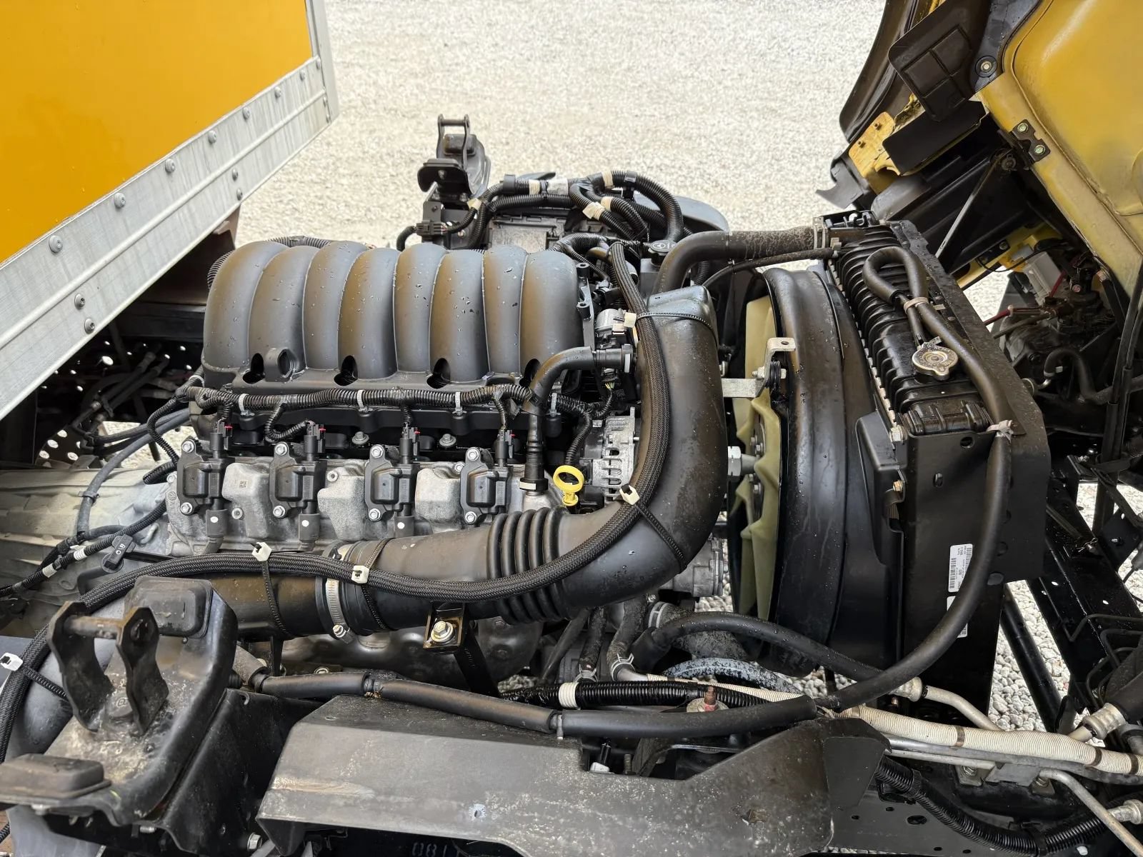 Used 2021 Isuzu NPR RWD image 13