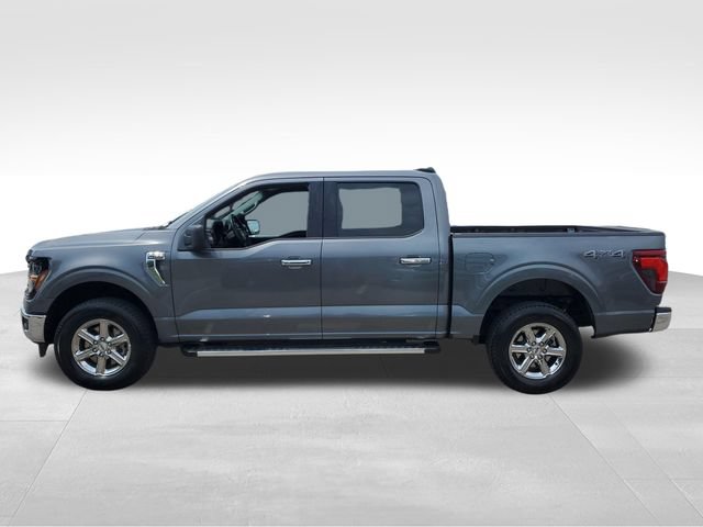 Used 2025 Ford F150 XLT w/ Equipment Group 301A Standard AWD/4WD image 7