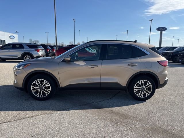 Used 2020 Ford Escape SEL AWD/4WD image 6