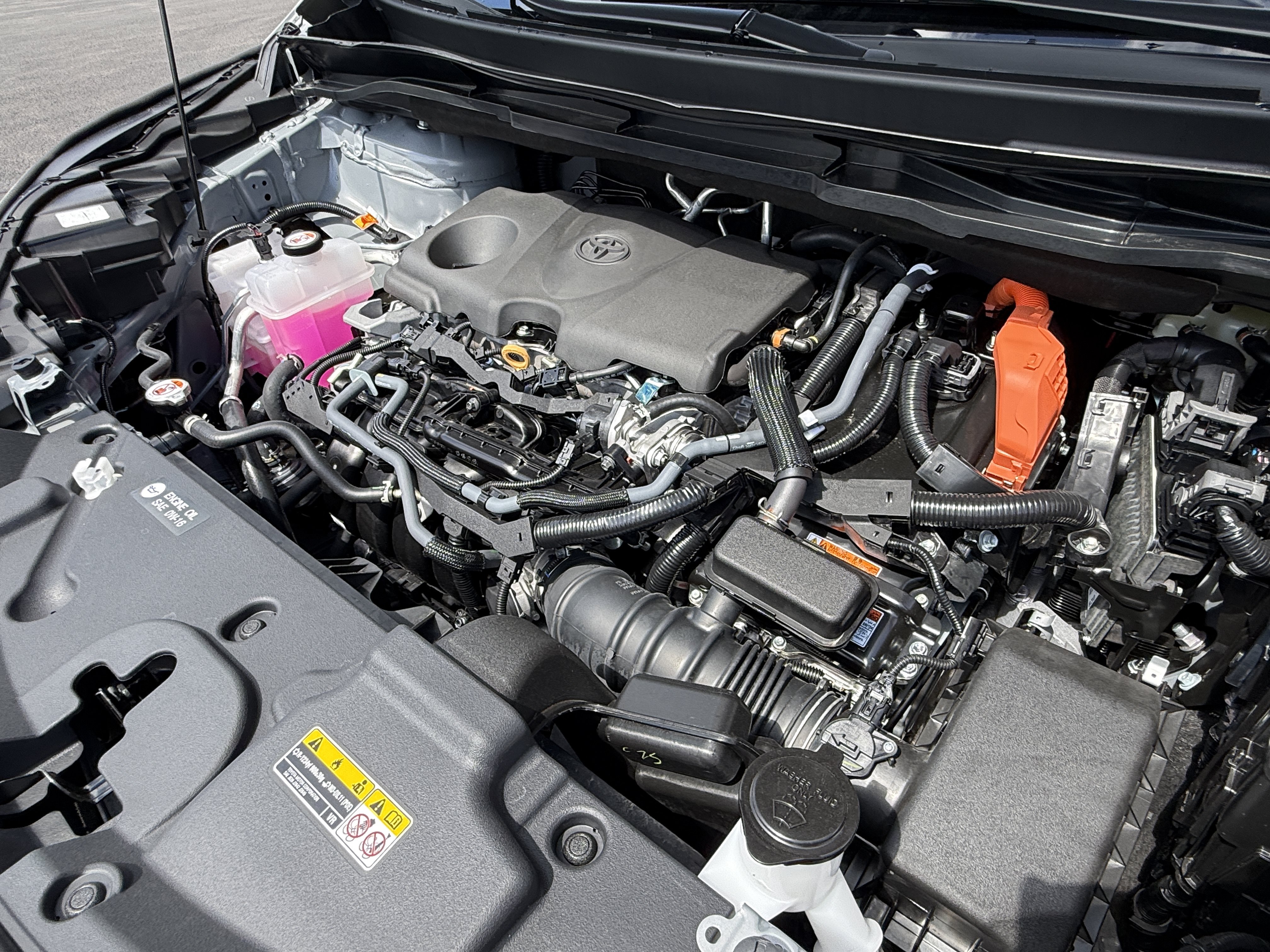 Certified 2026 Toyota Sienna XLE Woodland Edition AWD/4WD image 6