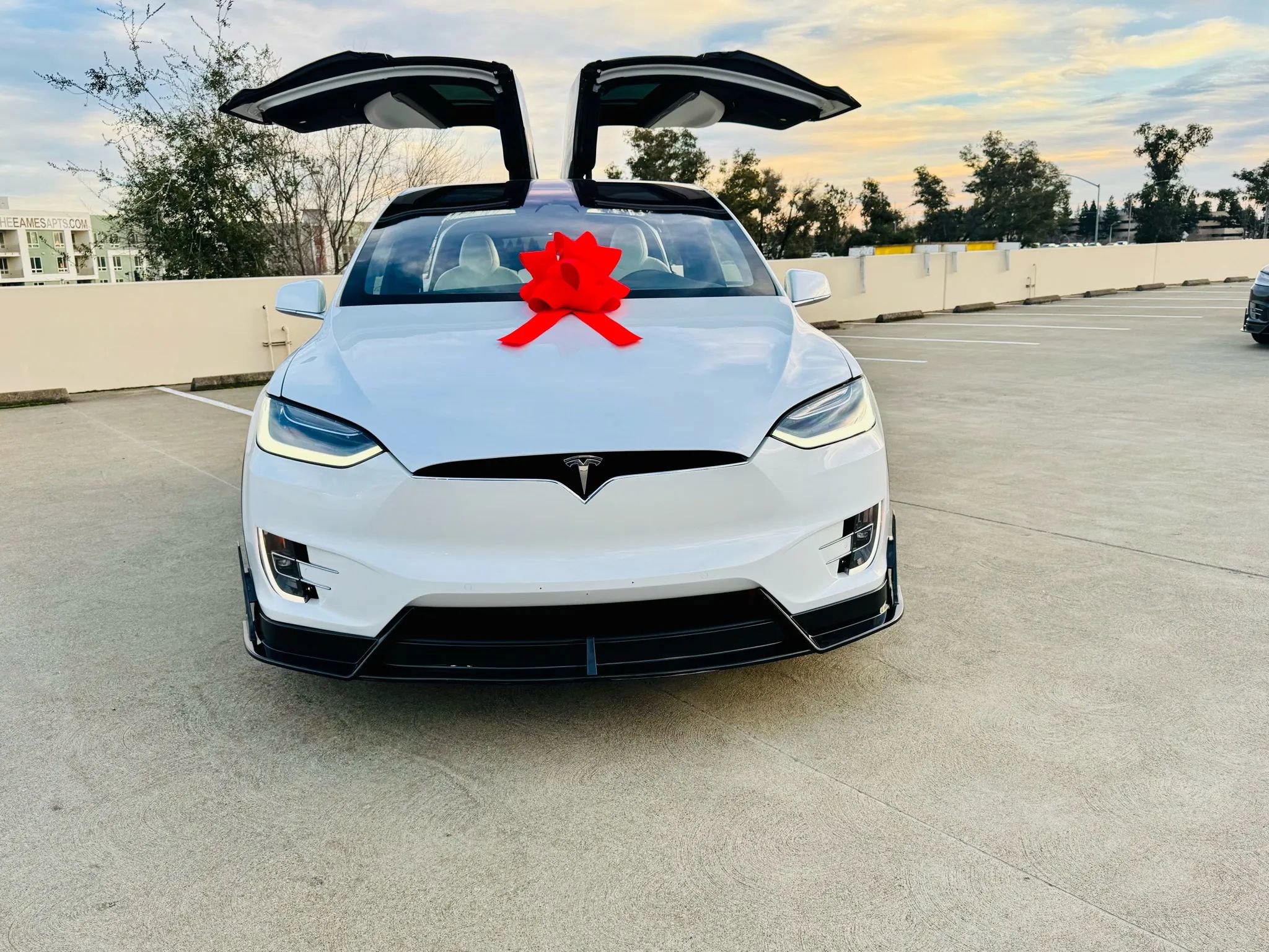 Used 2020 Tesla Model X Long Range image 11