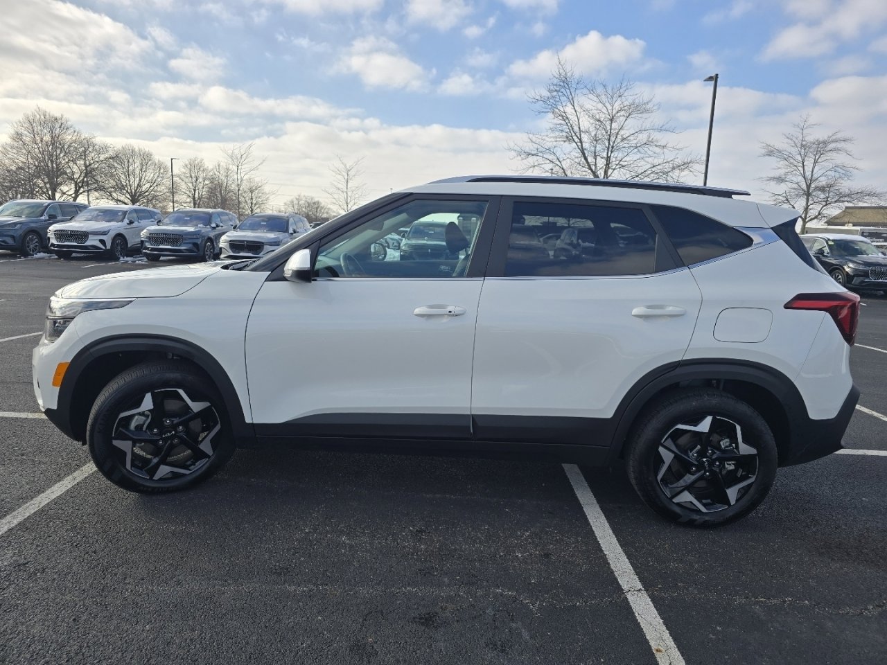 Used 2025 Kia Seltos EX w/ EX Sunroof Package image 16