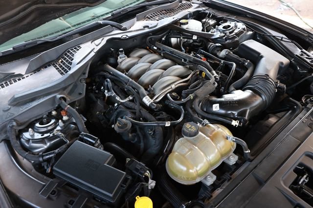 Used 2019 Ford Mustang GT Premium RWD image 49