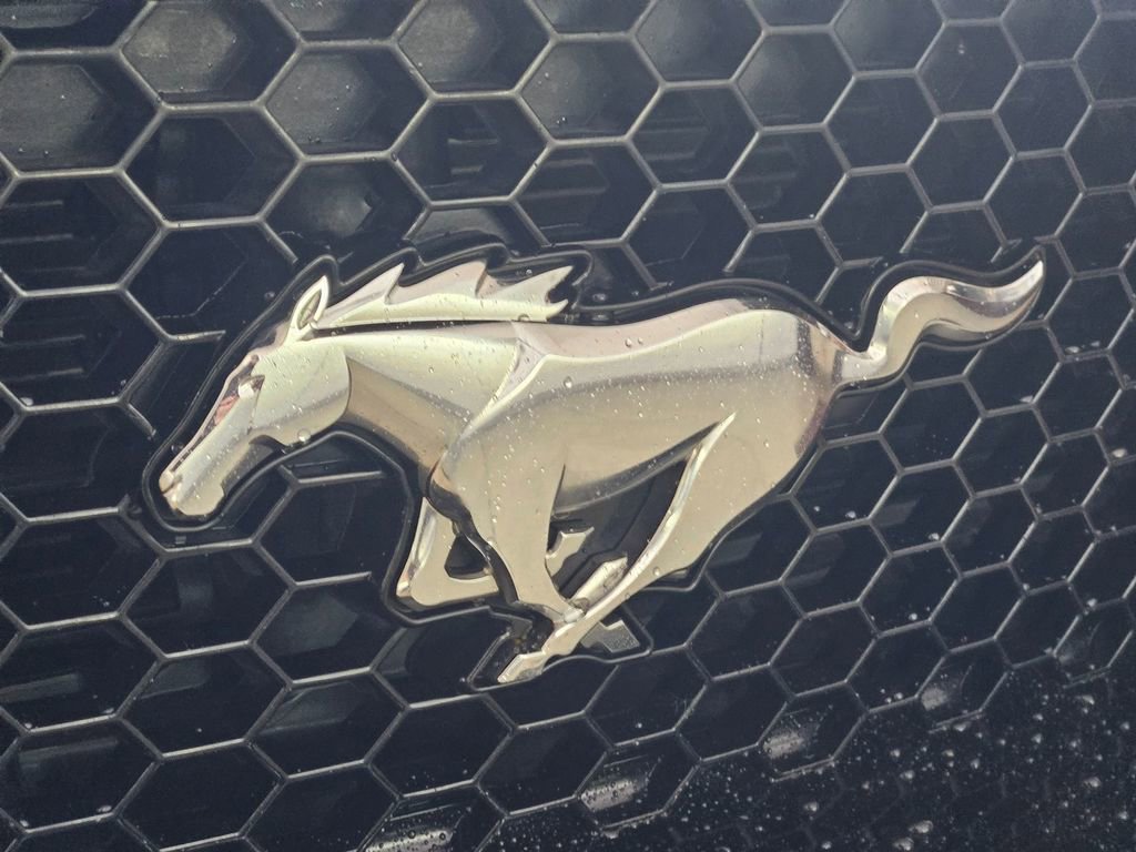 Used 2019 Ford Mustang GT RWD image 27