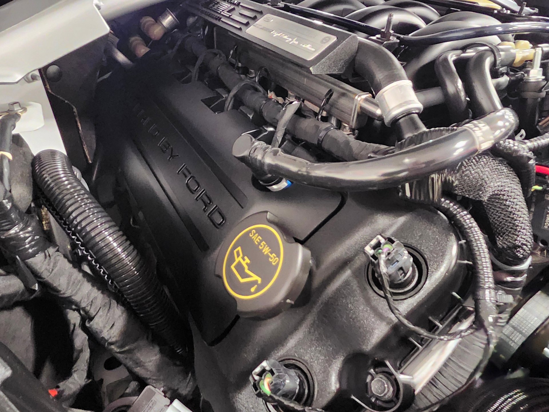 Used 2016 Ford Mustang Shelby GT350R w/ GT350R Equipment Group 920A image 32
