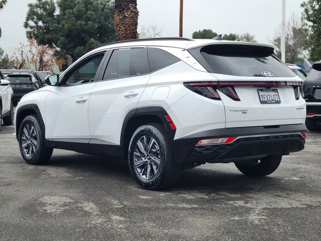 Used 2023 Hyundai Tucson Blue image 2