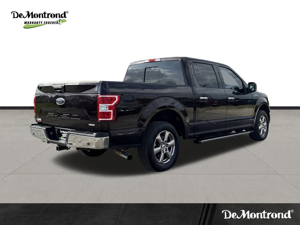 Used 2019 Ford F150 XLT w/ Equipment Group 302A Luxury RWD image 5
