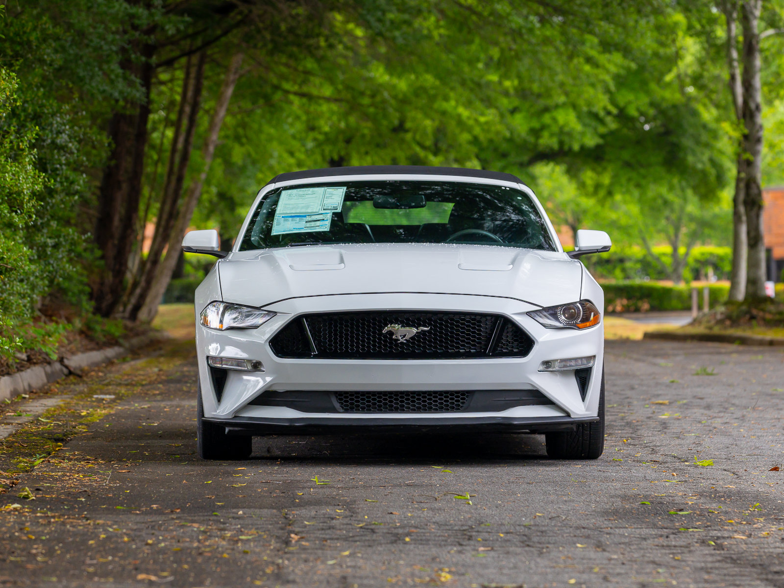 Used 2019 Ford Mustang GT Premium w/ Equipment Group 401A RWD image 33