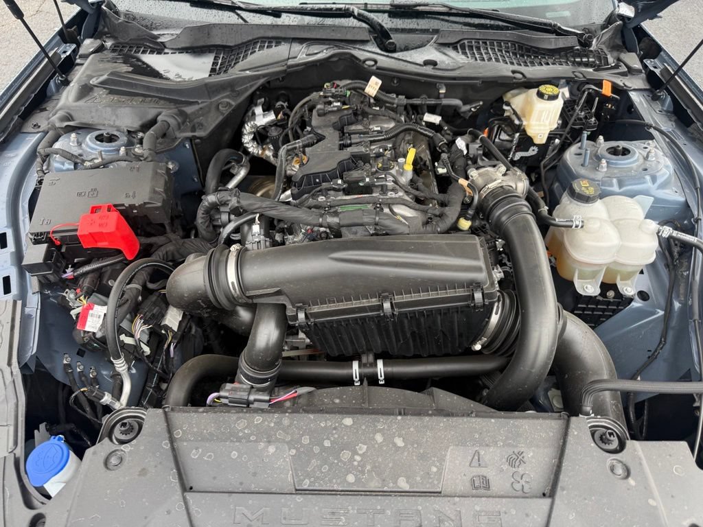 Used 2025 Ford Mustang Coupe RWD image 44