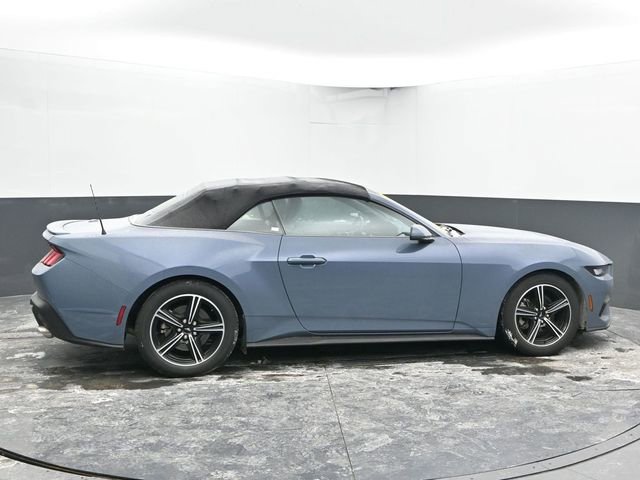 Used 2024 Ford Mustang Premium image 12