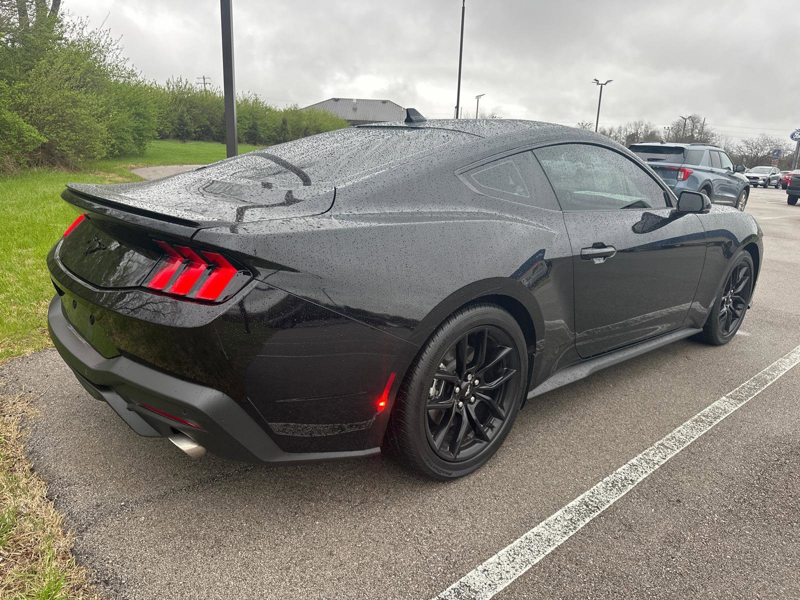 Certified 2024 Ford Mustang Premium image 8
