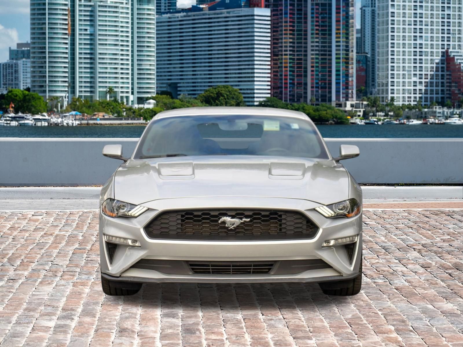 Used 2019 Ford Mustang Premium w/ Ecoboost Performance Package video 2