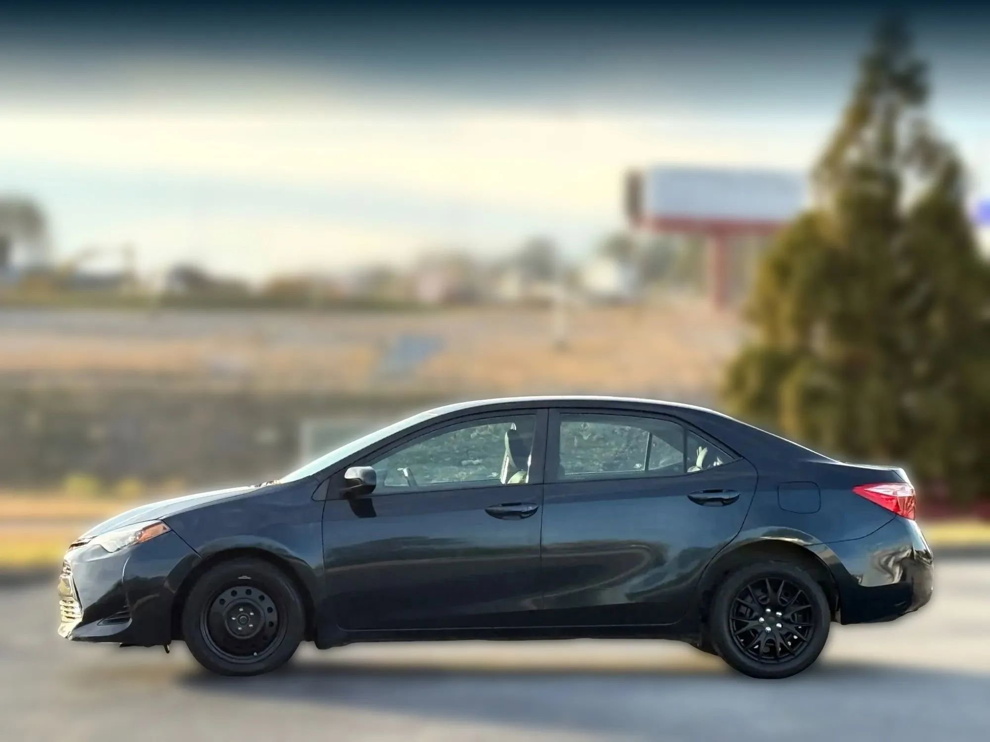 Used 2019 Toyota Corolla L image 8