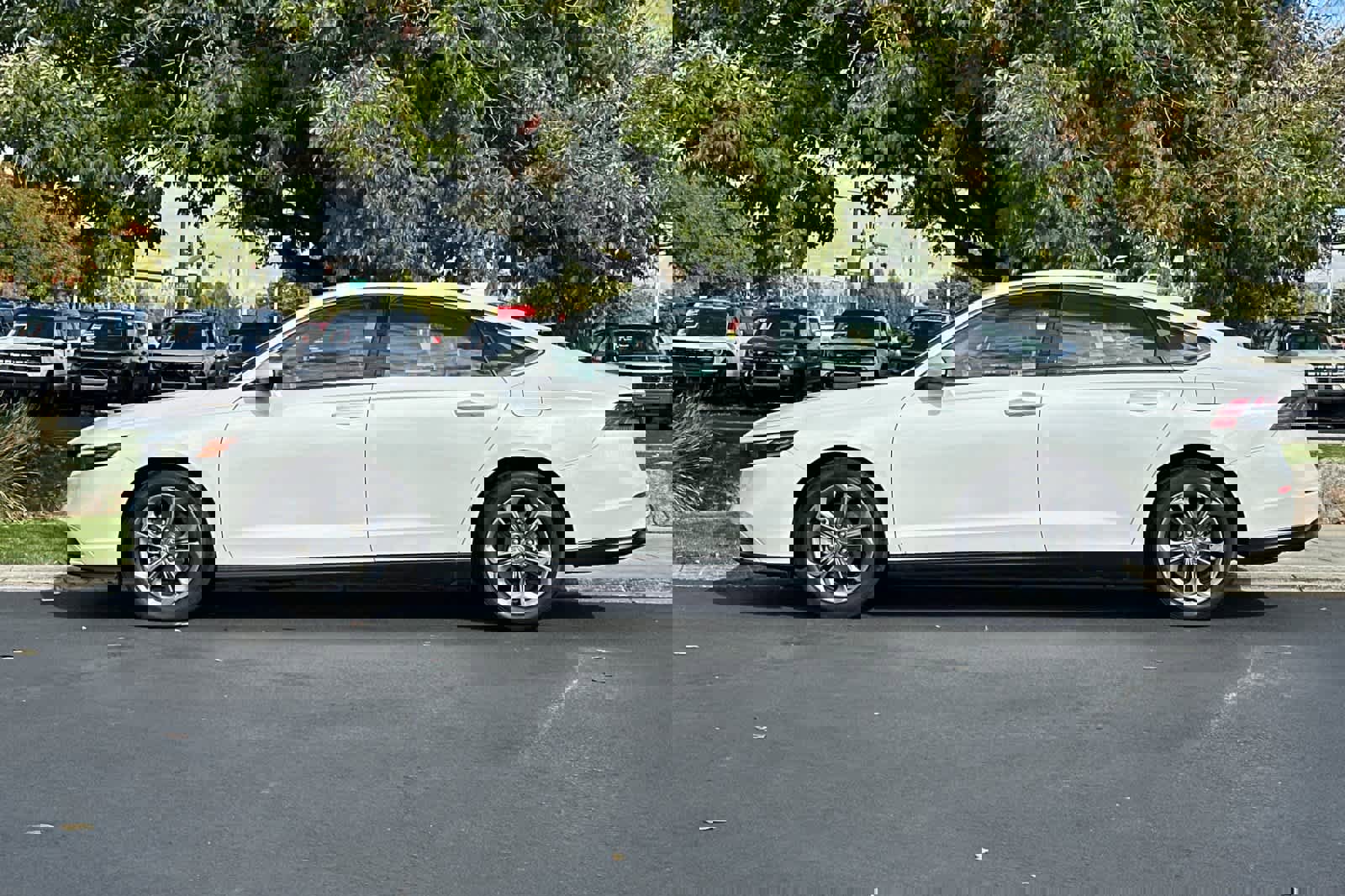 Used 2023 Honda Accord EX image 5