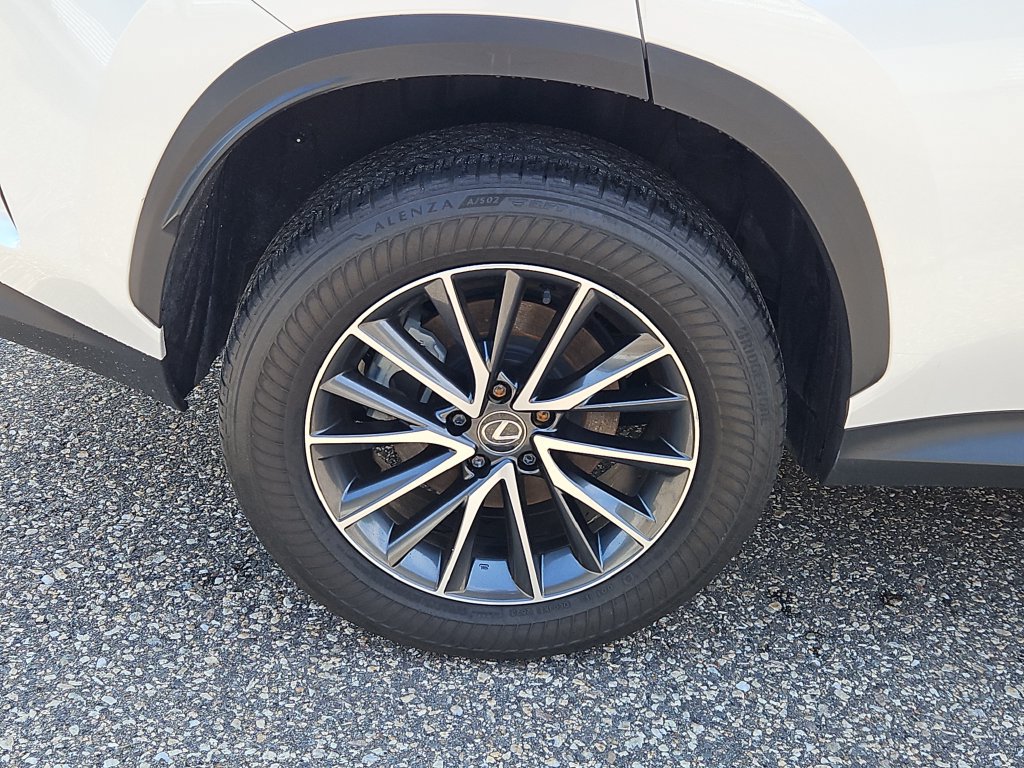 Used 2024 Lexus NX 350 AWD w/ Cold Area Package image 9