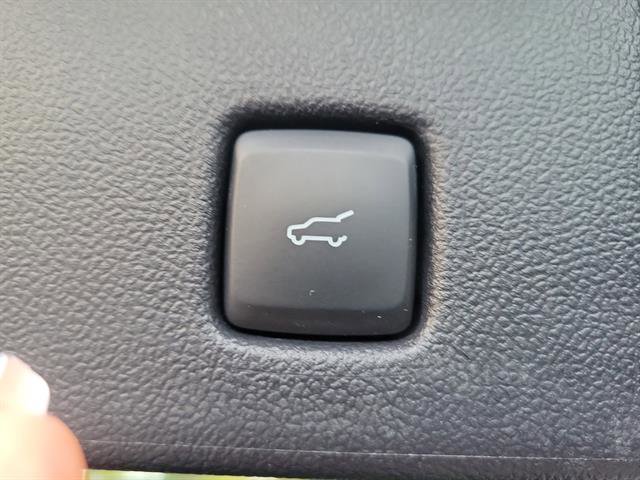 Used 2021 Ford Escape SE w/ SE Sport Appearance Package image 14