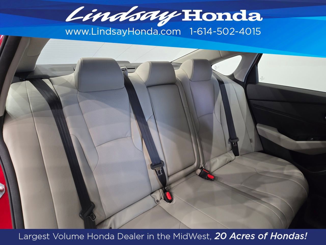 Used 2024 Honda Accord Touring image 10