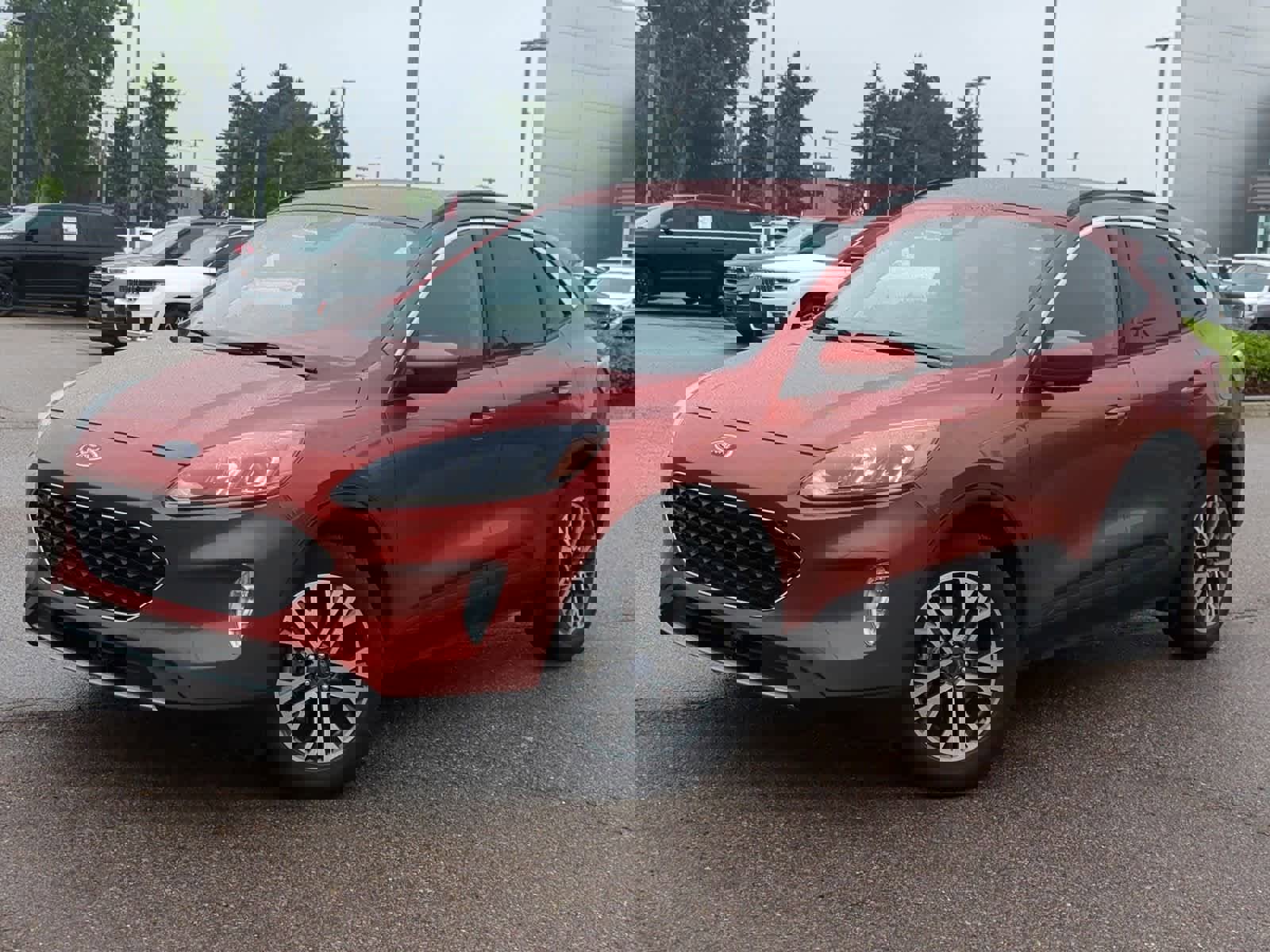 Used 2020 Ford Escape SEL