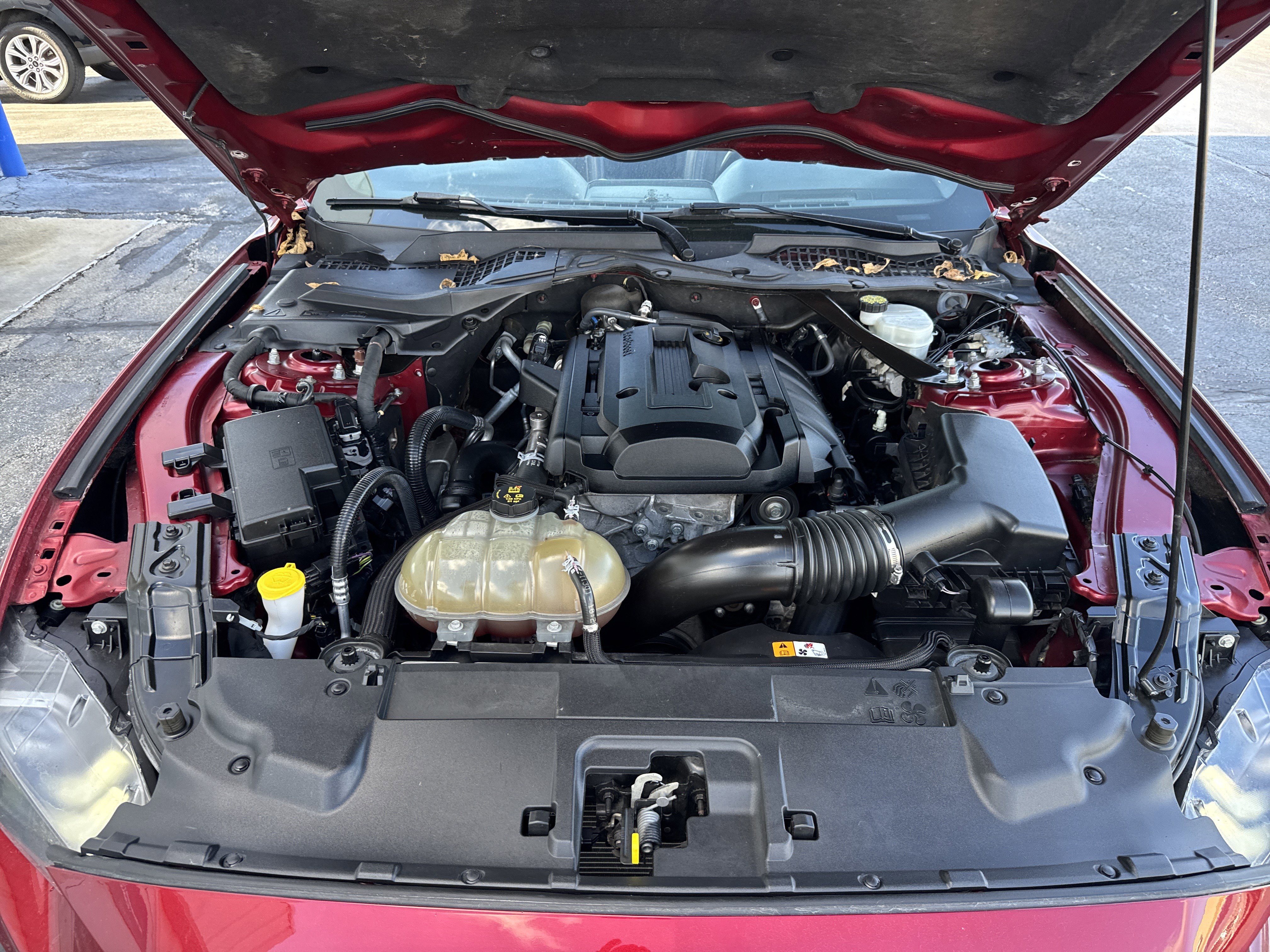 Used 2018 Ford Mustang Premium w/ Equipment Group 201A image 53