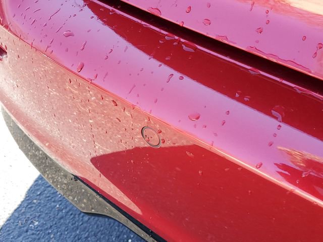 Used 2024 Honda Accord EX-L image 6