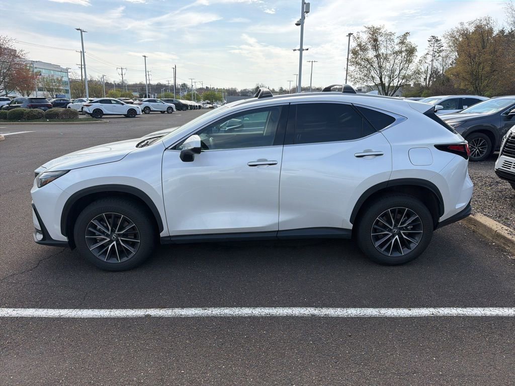 Used 2024 Lexus NX 350 AWD w/ Cold Area Package image 6