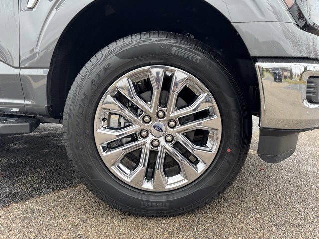 New 2024 Ford F150 XLT w/ Equipment Group 303A High image 2