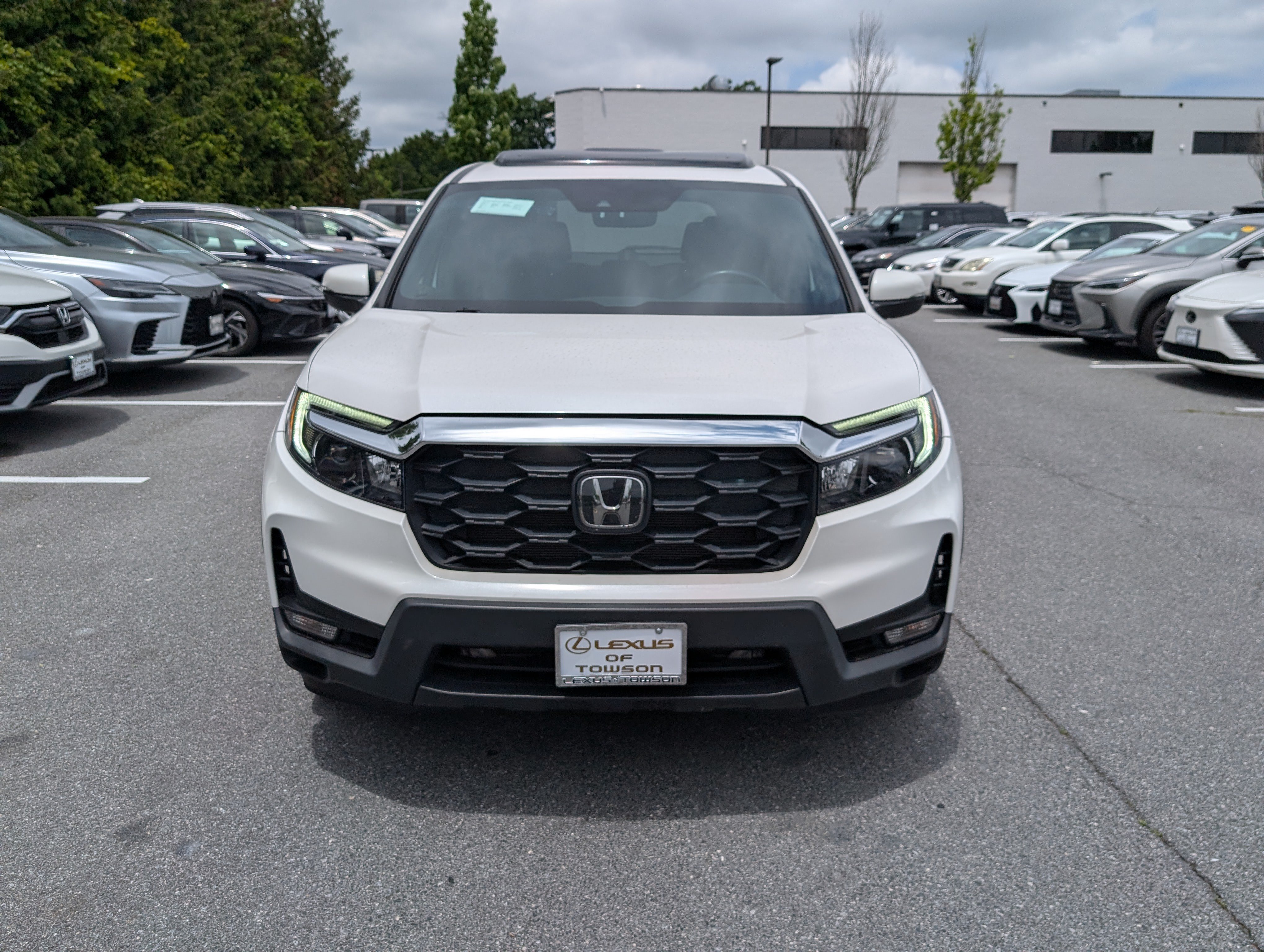 Used 2023 Honda Passport EX-L image 6