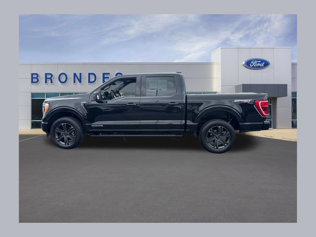 Used 2023 Ford F150 XLT w/ Equipment Group 302A High