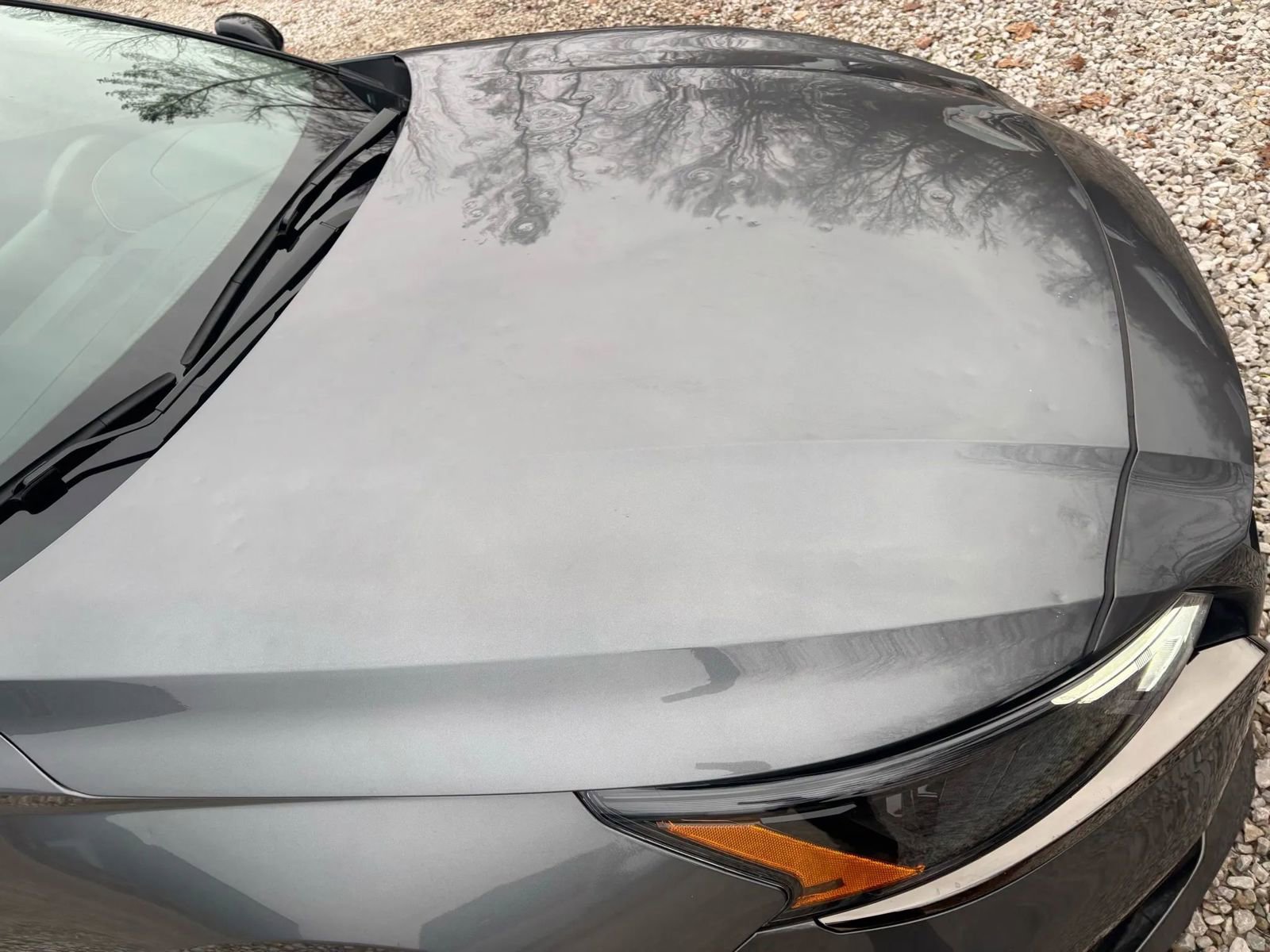 Used 2023 Nissan Altima 2.5 SR w/ SR Premium Package image 18