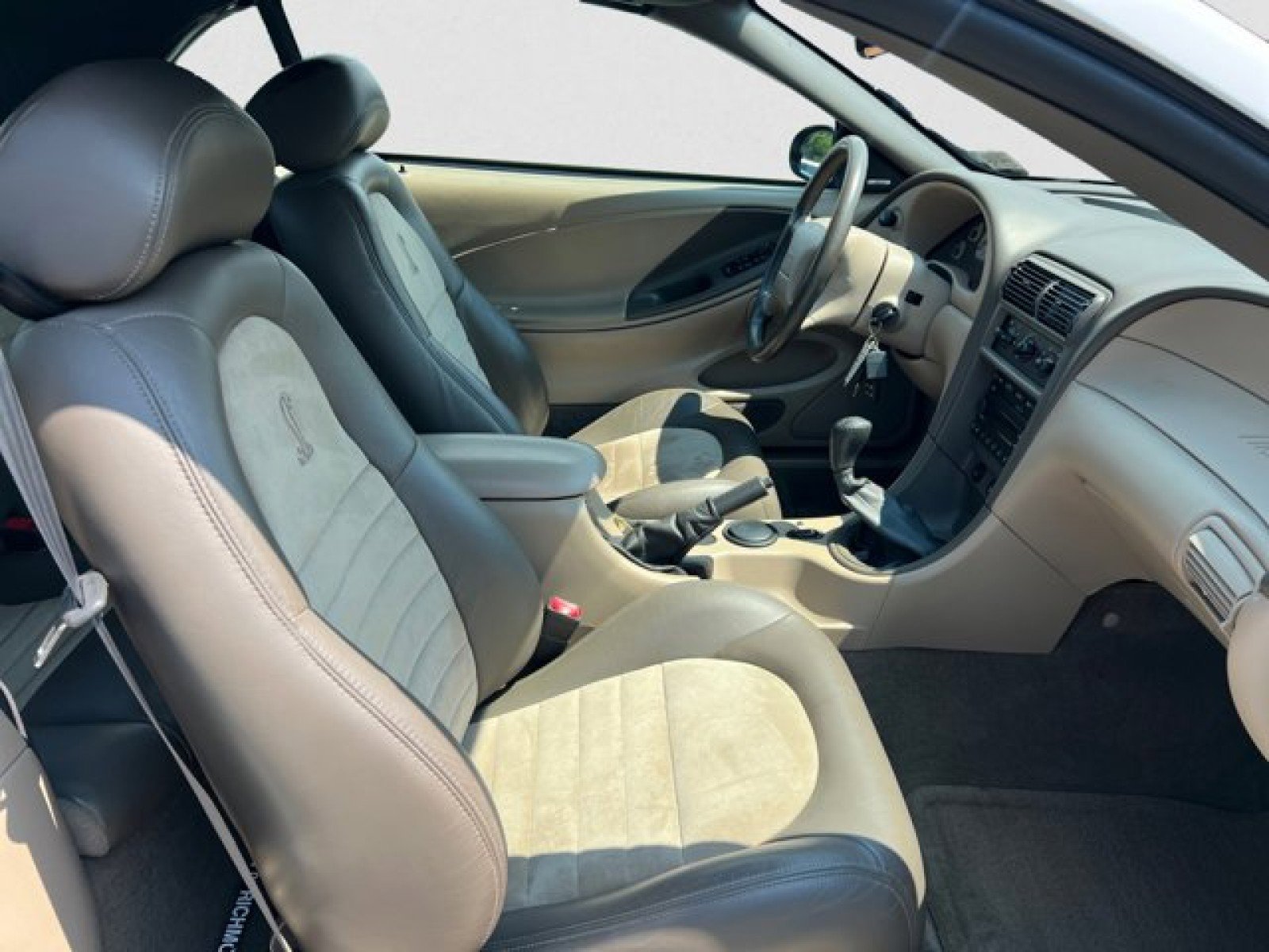 Used 2001 Ford Mustang Cobra image 18