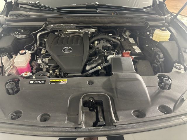 Used 2024 Lexus RX 350 Premium w/ Cold Area Package AWD/4WD image 8