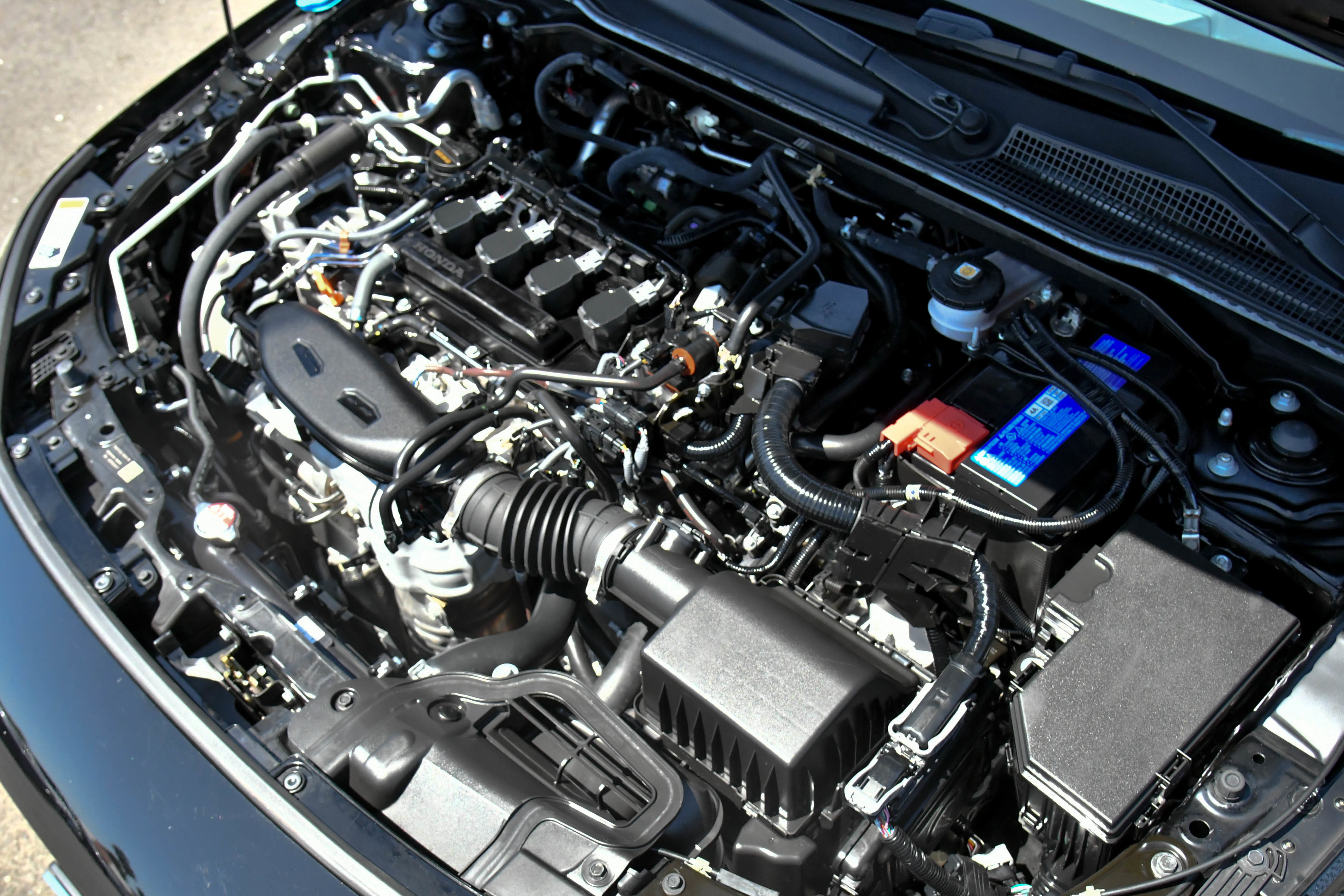 Used 2024 Honda Civic EX-L image 45