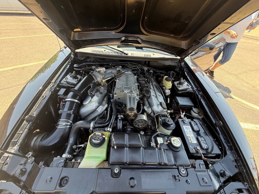 Used 2003 Ford Mustang Cobra RWD image 20