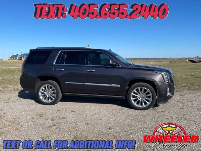 Used 2017 Cadillac Escalade Premium Luxury image 2