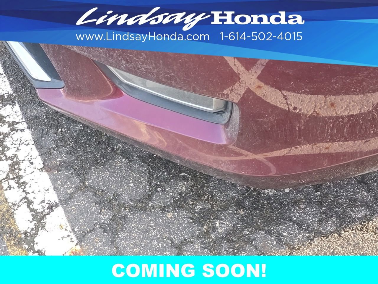 Used 2013 Honda Accord EX-L image 3