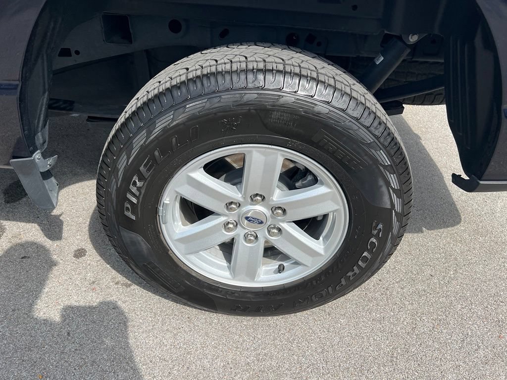 Used 2025 Ford F150 XL w/ Equipment Group 103A High AWD/4WD image 14