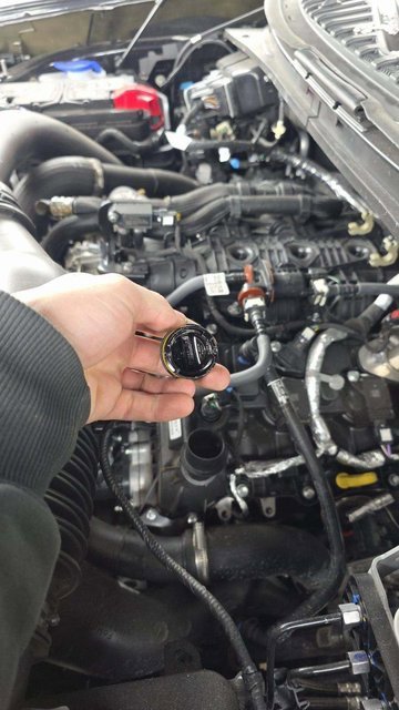 Used 2025 Ford Expedition Active image 13