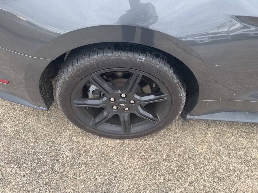 Used 2019 Ford Mustang GT w/ Black Accent Package image 18