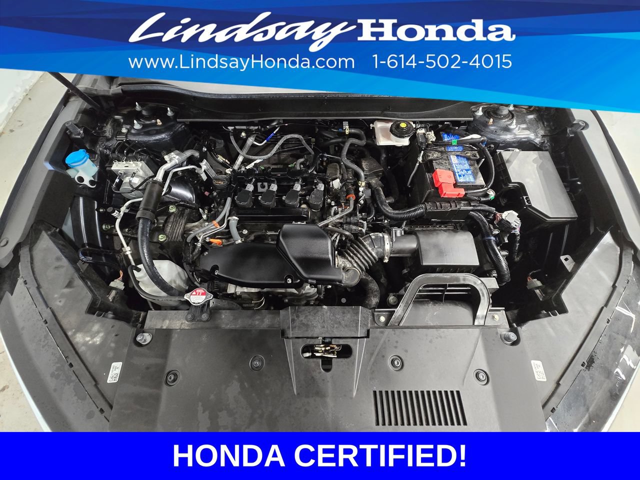 Certified 2024 Honda CR-V EX-L image 25