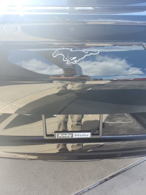 New 2025 Ford Mustang Mach-E Premium image 12