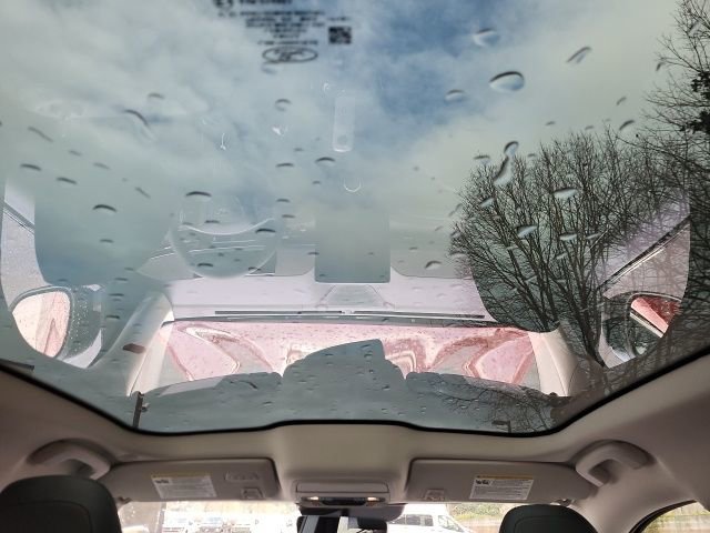 Used 2021 Ford Mustang Mach-E Premium image 12