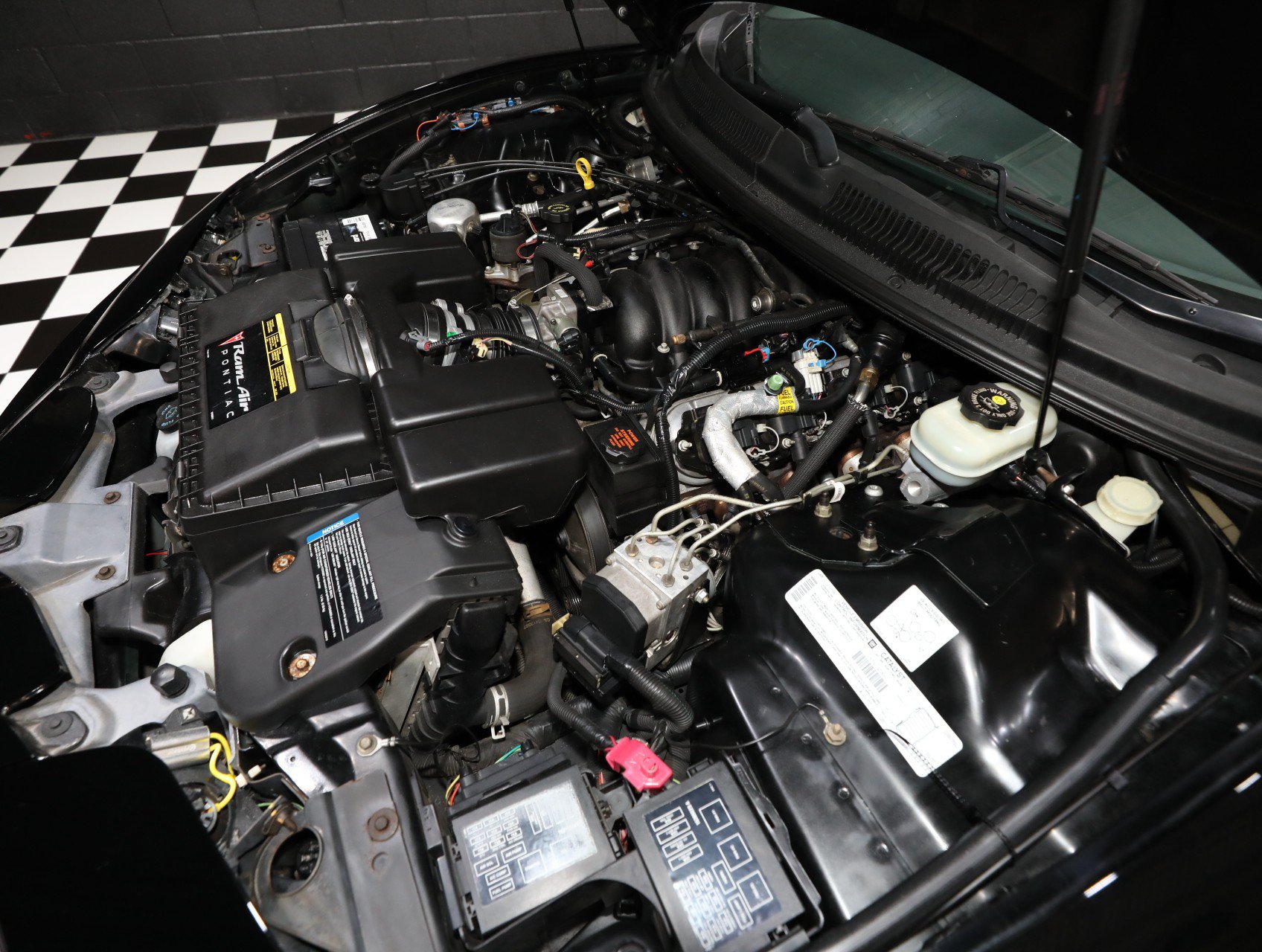 Used 1999 Pontiac Firebird Trans Am RWD image 79