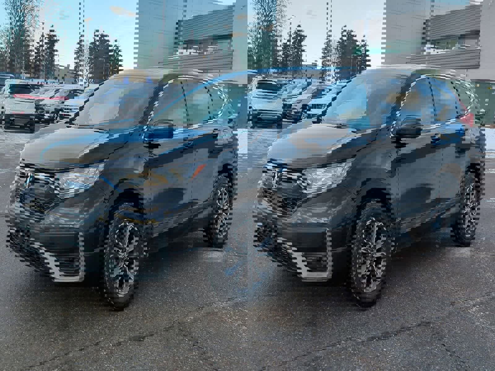 Used 2020 Honda CR-V EX-L image 4