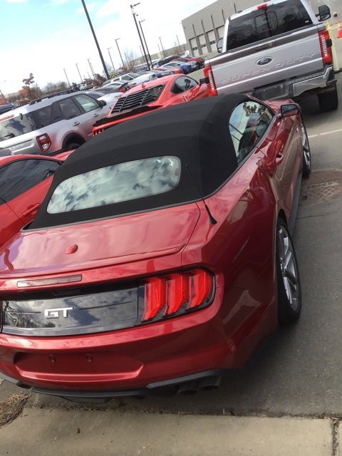 Used 2021 Ford Mustang GT Premium w/ Ford Safe & Smart Package image 3