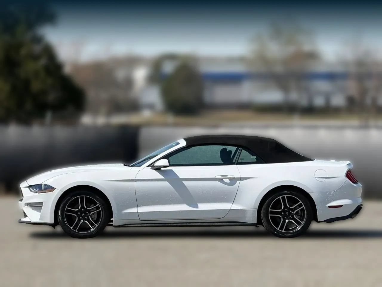 Used 2023 Ford Mustang Premium RWD image 8
