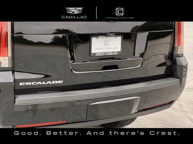 Used 2019 Cadillac Escalade Premium Luxury RWD image 6