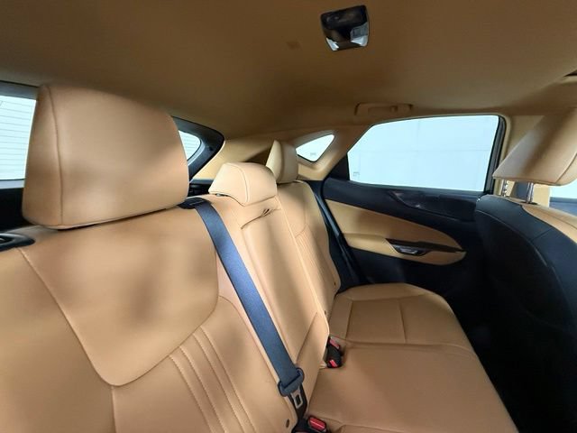 Certified 2024 Lexus NX 350 AWD image 29